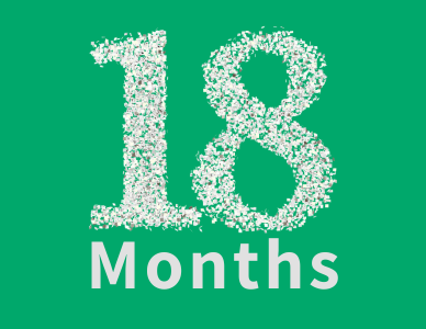 18 Months of Pixel Jade: Celebrating the Journey So Far
